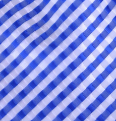 Blue and White Tie Swatch