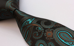 brown and teal tie