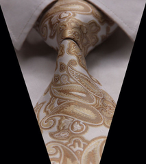 champagne paisley tie
