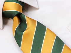 Green and Gold Striped Tie