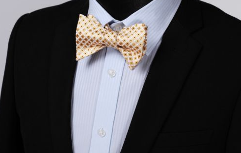 Gold and White Self Tie Silk Bow Tie GentlemanJoe Gold and White Self Tie Silk Bow Tie GentlemanJoe