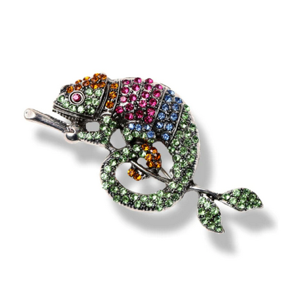 Pin on chameleon