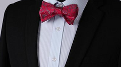 raspberry silk bow tie