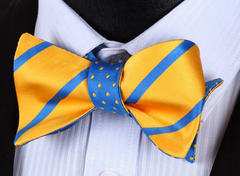 Yellow & blue bow tie