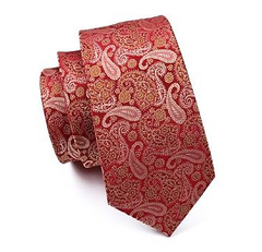 red gold paisley tie