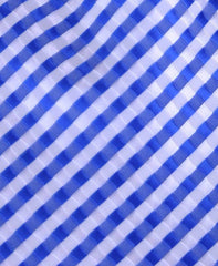 Blue and White Checked Tie