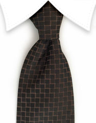 Brown Men's Tie with Squares