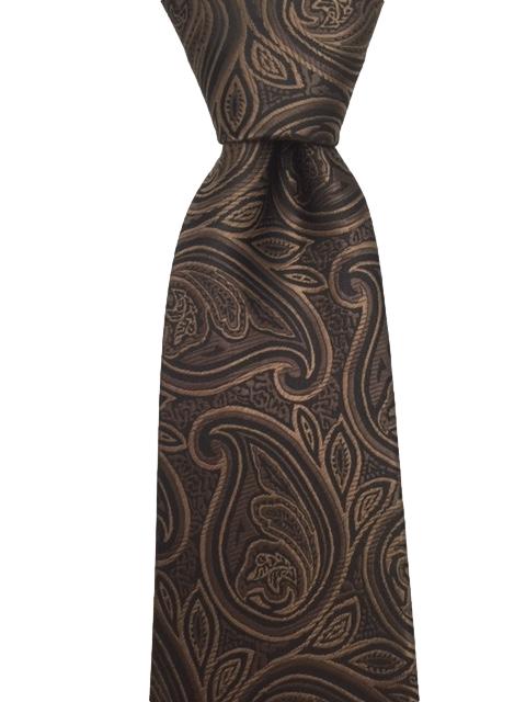 Elegant Brown Paisley Men's XL Tie