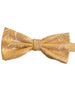 Yellow Gold Paisley Bow Tie