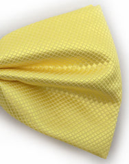 lemon yellow bow tie