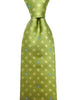 Soft Lime Green Necktie with Mini Blue Flowers
