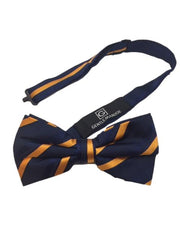 Navy Blue & Orange Striped Bow Tie
