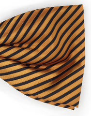 orange & black stripe bow tie
