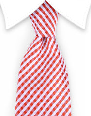 Orange and white gingham tie