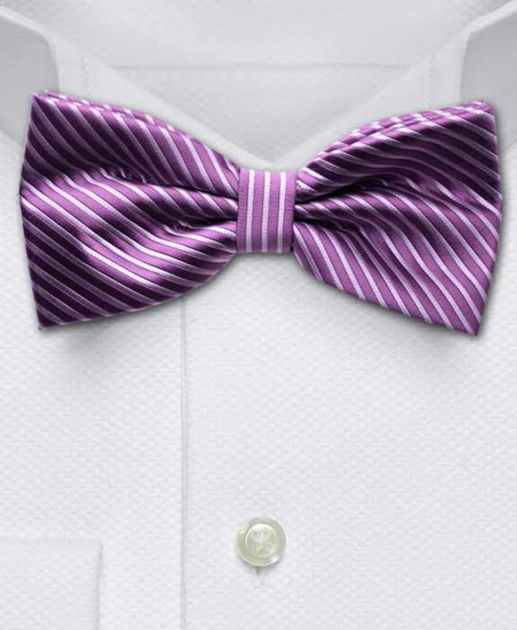 purple & lilac bow tie