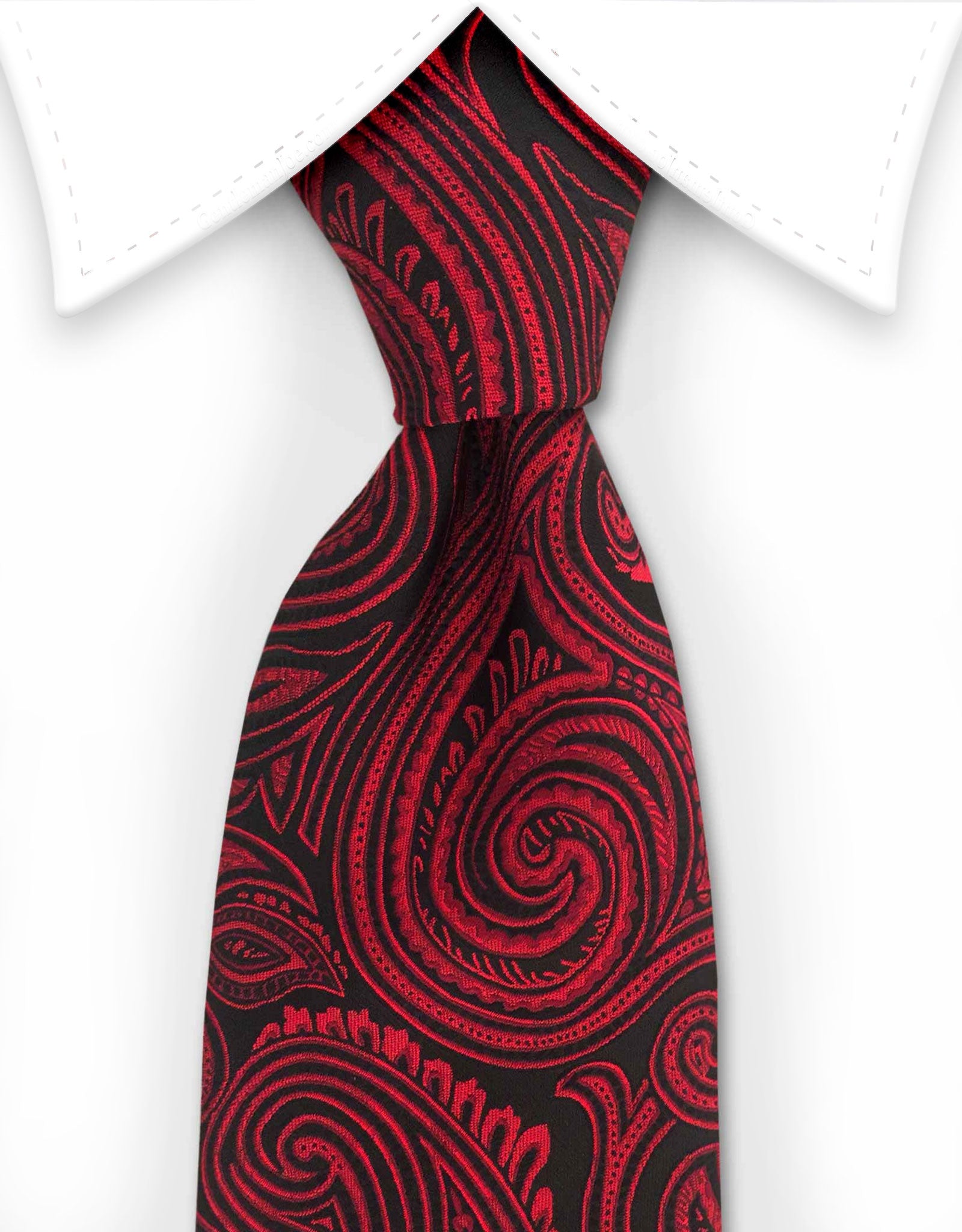 Red & Black paisley necktie