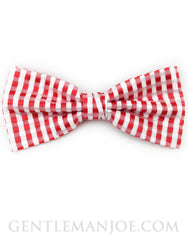 Red and white gingham bow tie