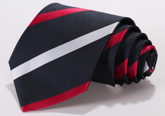 Navy, Red, White Tie