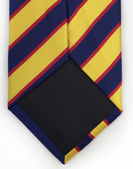 blue and gold tie