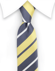 yellow silver white skinny tie